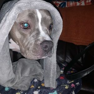 Meet your Posher, Austin